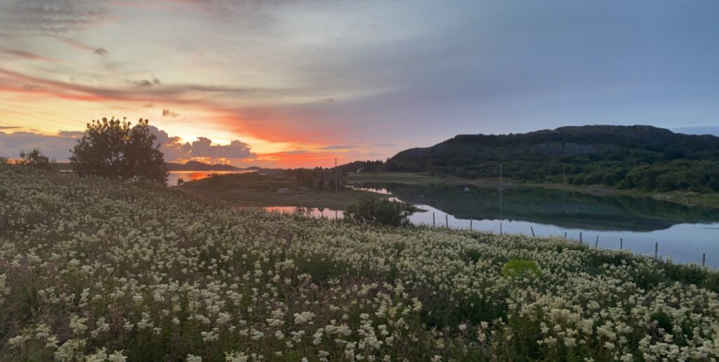 Midnatt på Hestmona