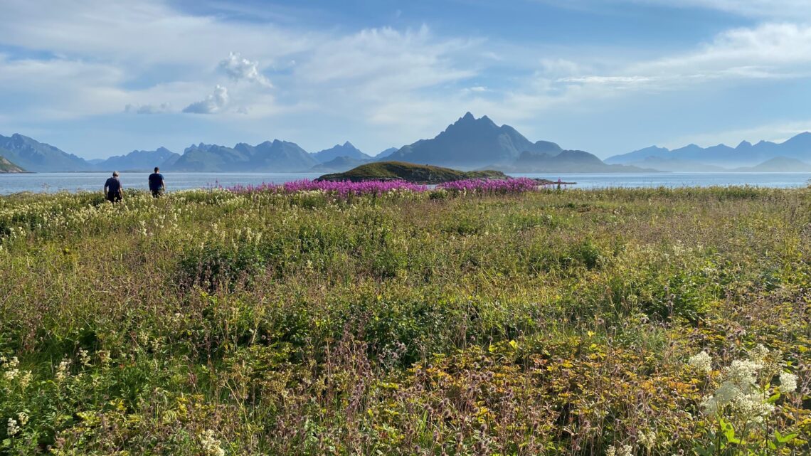 Endelig en tur til Skogsøya