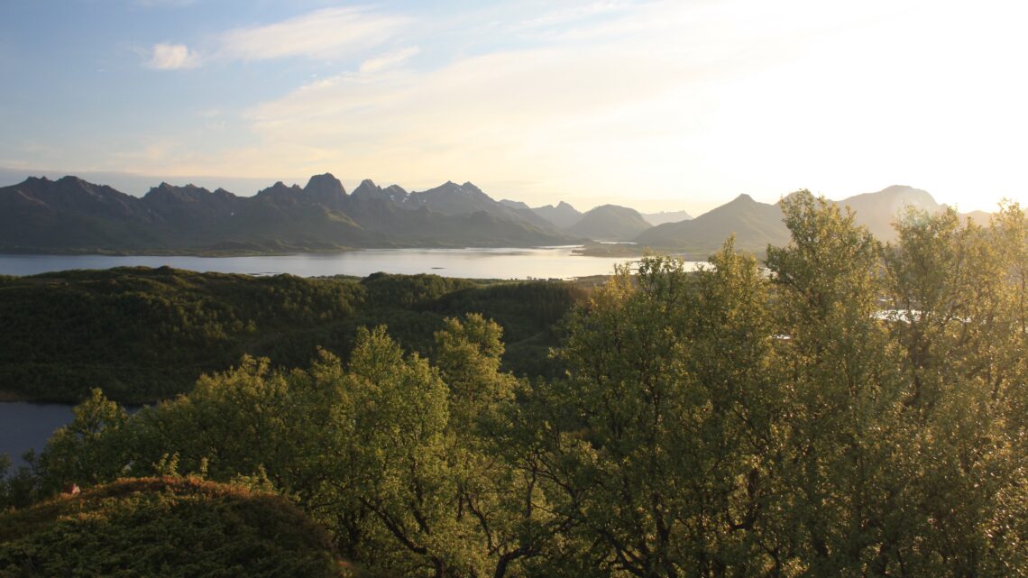 Vesterålen - Oppturer